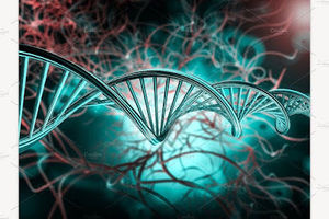 Meet your Posher, Peter